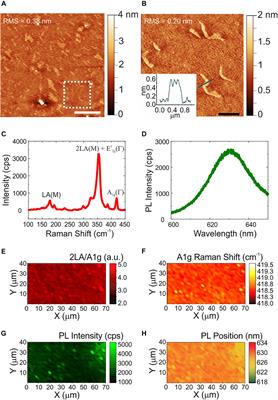 Effect of Chemical Vapor Deposition WS2 on Viability and Differentiation of SH-SY5Y Cells